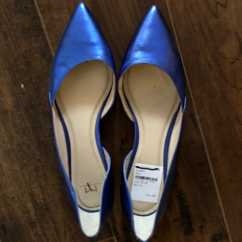Beautiful Sapphire Blue Pointed Flats